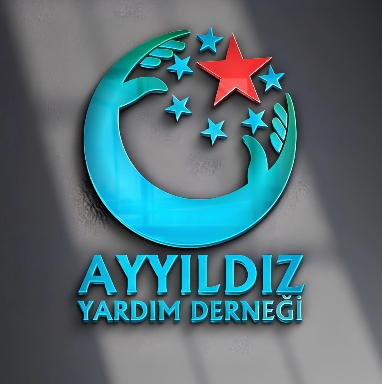 Ayyıldız Yardım Derneği